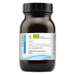 Weizengras Bio! (100g Pulver)