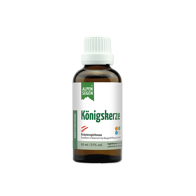 Alpensegen Königskerze, 50 ml