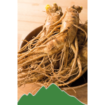 Ginseng (Panax ginseng)