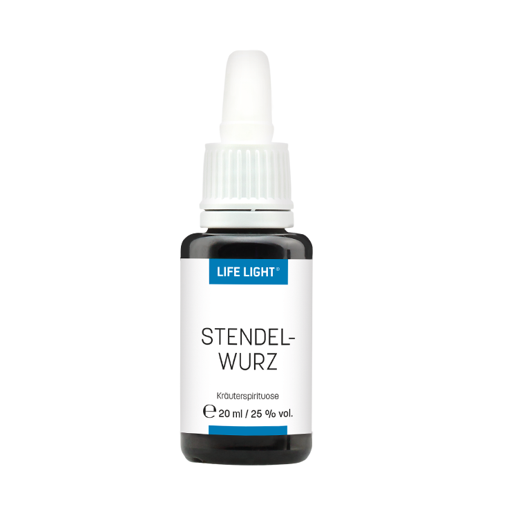 Stendelwurz (20 ml)